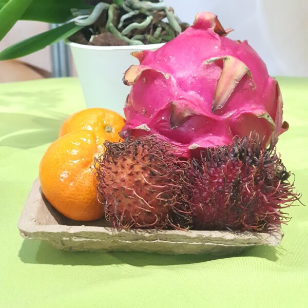 Bandeja Hortifruti T2Q 15x15x2,5cm biodegradável e compostável - 400un