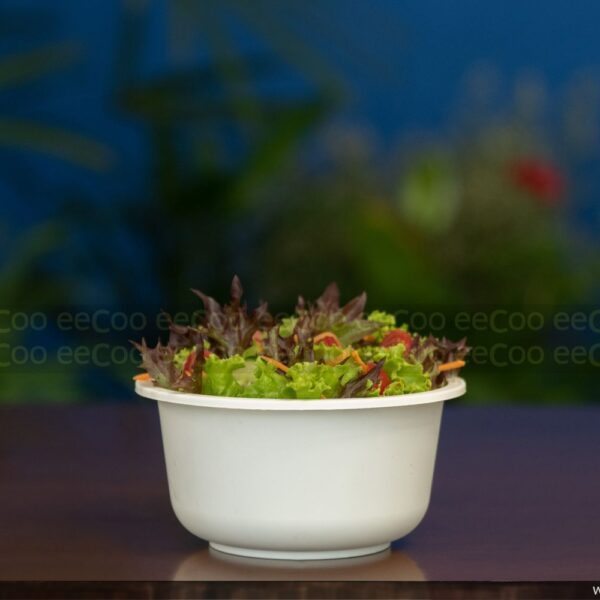 Bowl 700ml sem tampa ecológica de amido de milho – 50 un