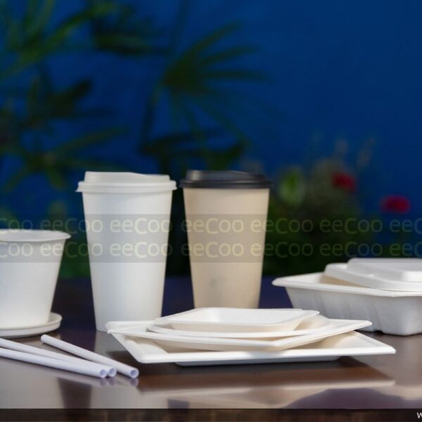 Kit amostras - Frete Grátis