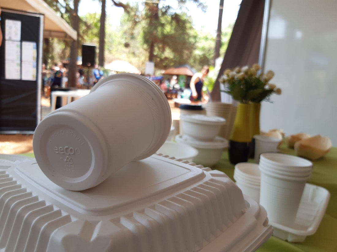 Confira alguns momentos da 3ª Feira Ambiental do Jardim Botânico em Brasília.