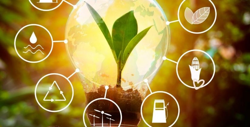 Fontes renováveis, finitude dos recursos para a vida e compartilhamento de um mundo melhor