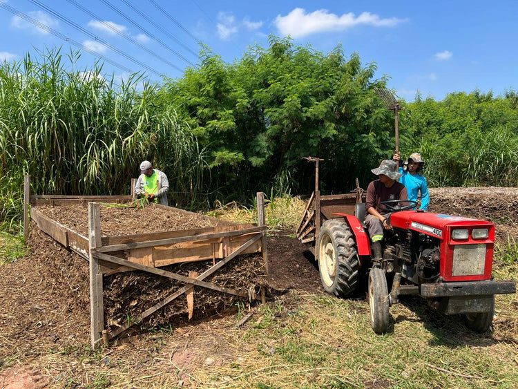 imagem de uma leira de horta para compostagem