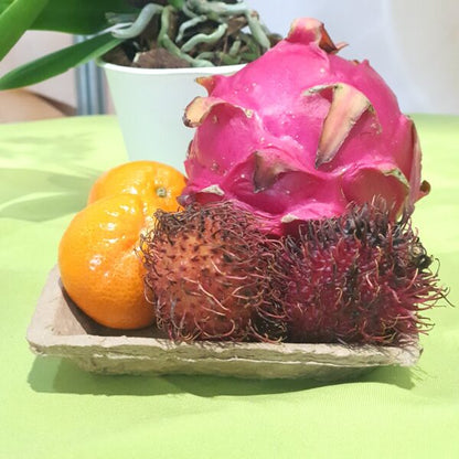 Bandeja Hortifruti biodegradável e compostável T2Q 15x15x2,5cm